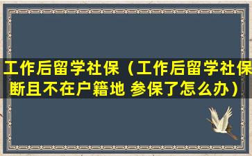 工作后留学社保（工作后留学社保断且不在户籍地 参保了怎么办）